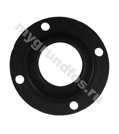 Spare: Rubber seal (80035538: 96068324)