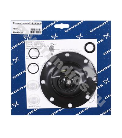 Kit, pump maint/226-250/V/G
