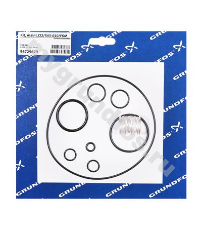Kit, maint.Cl2/543-010/FKM
