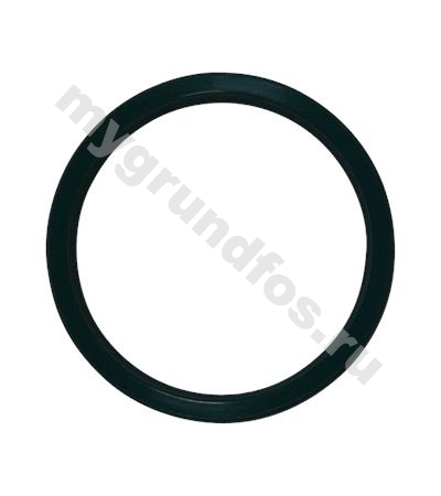 Rubber seal DE and NDE-end Siemens 160