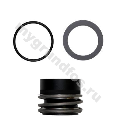 Spare, shaft seal BAQE GG N D55