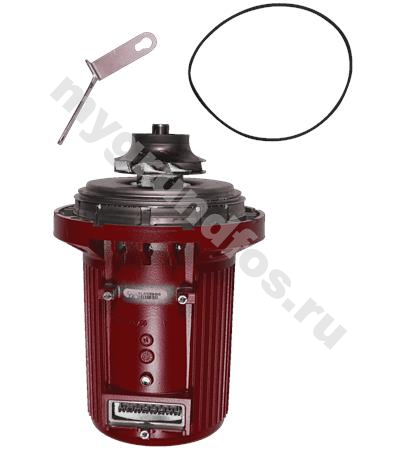 Pump head UPS50-160/2 1x230V 60Hz USA