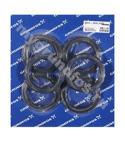 Bulk - Seal ring retainer cpl, SP