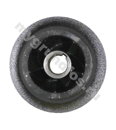 Spare,Impeller 32-125.1/110 CI