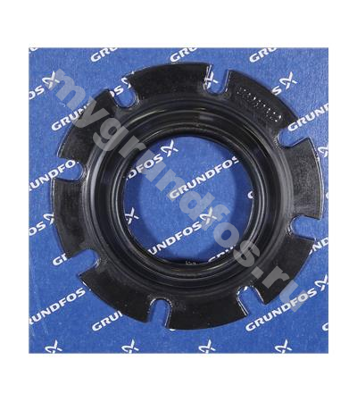 Spare: Rubber seal (80035216: 96949822)