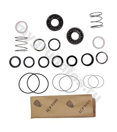 Kit,Shaft seal BBVP HS300-200-489