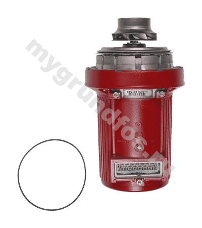 Pump head UPS40-80/2 3x208-230V 60Hz USA