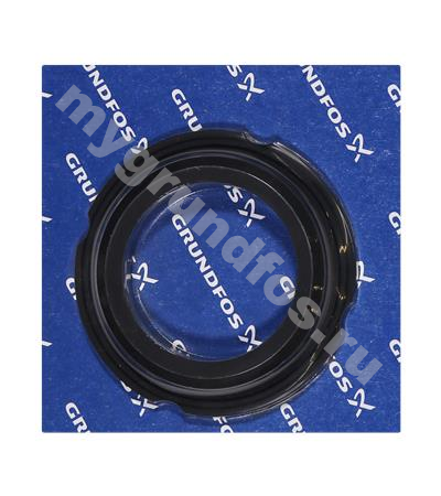 Spare:Guideshoe gask.(80035575:96068325)