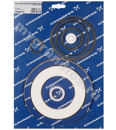 Kit, maint.Cl2/545/FKM/PTFE/120kg/h