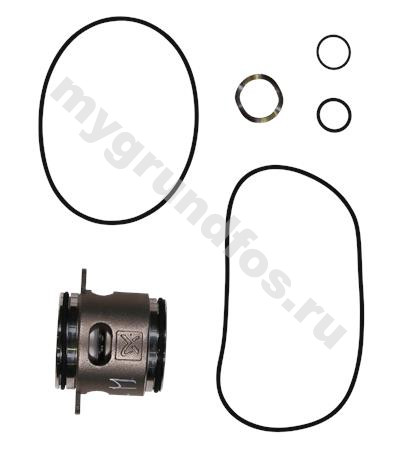 Kit, shaft seal B/C22 FKM