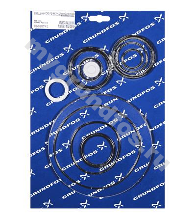 Kit, gas/Cl2/545/40kg/h/FKM/PTFE