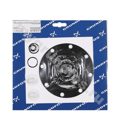 Kit, pump maint/220/DMX221-115/PVC/V/G